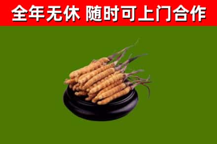 施秉烟酒回收冬虫夏草.jpg